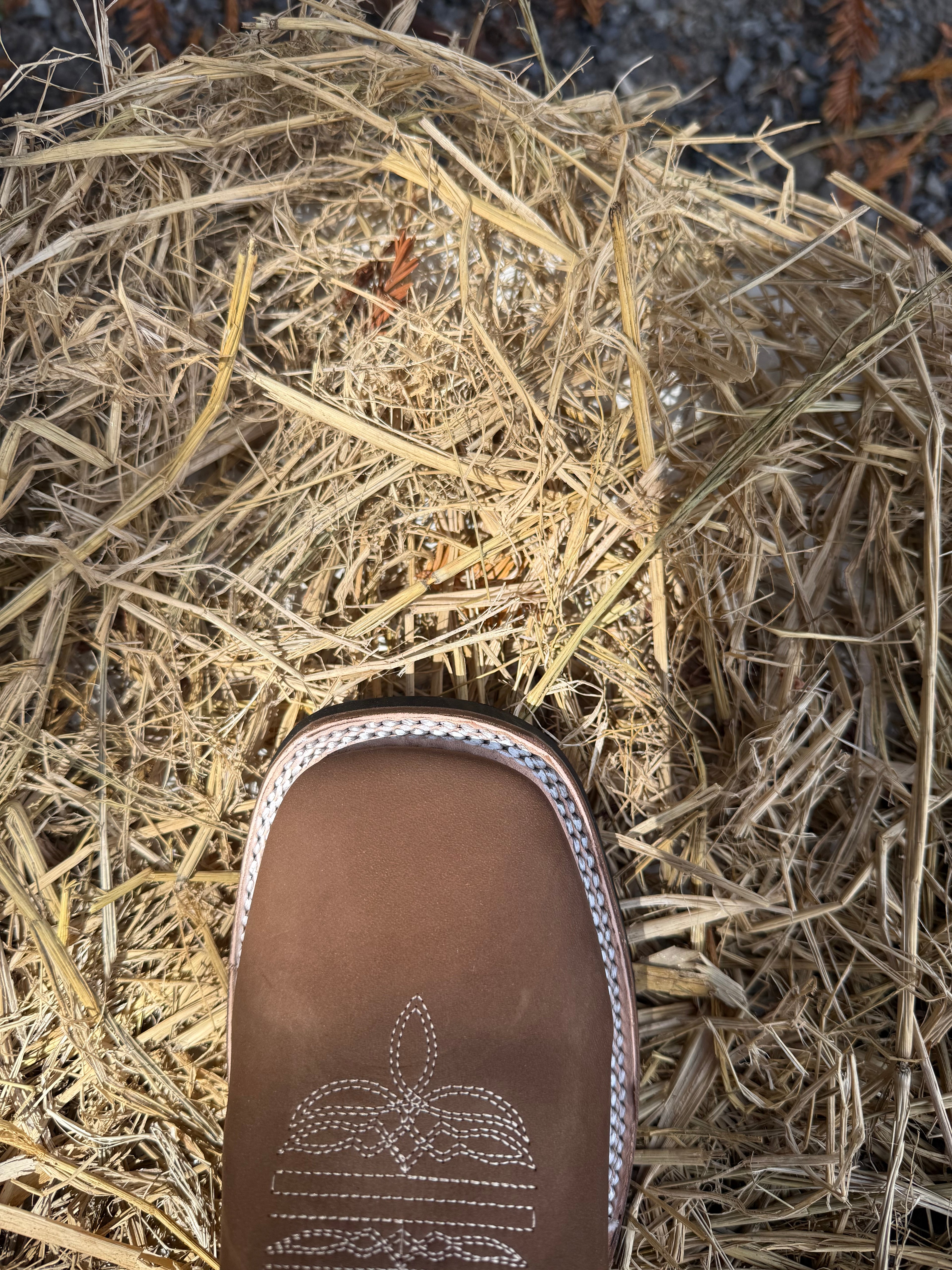 Chaparral Women's Tan Embroidered Square Toe Western Boot