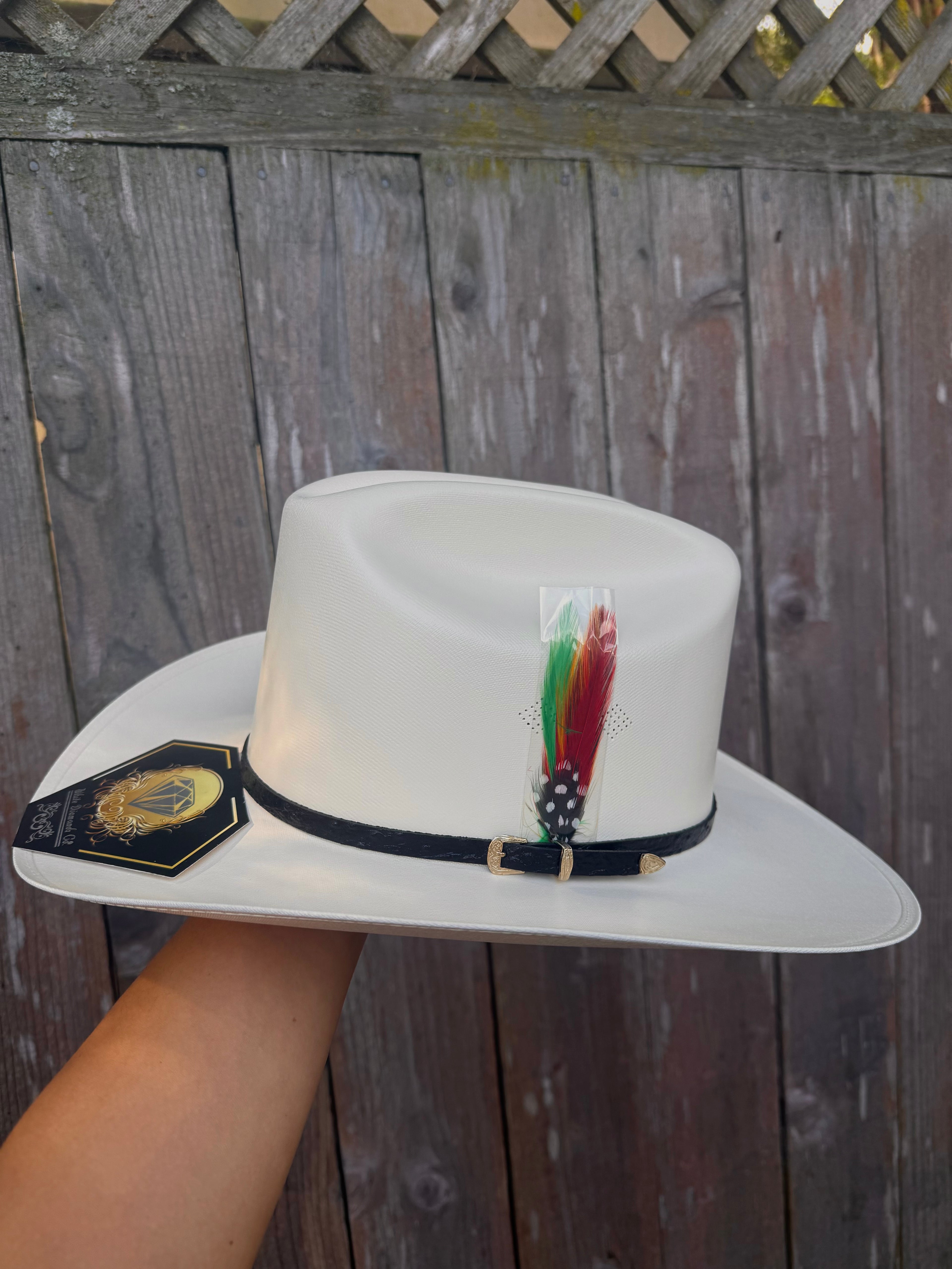 White Diamonds Co. Men's 1000X San Judas Sombrero